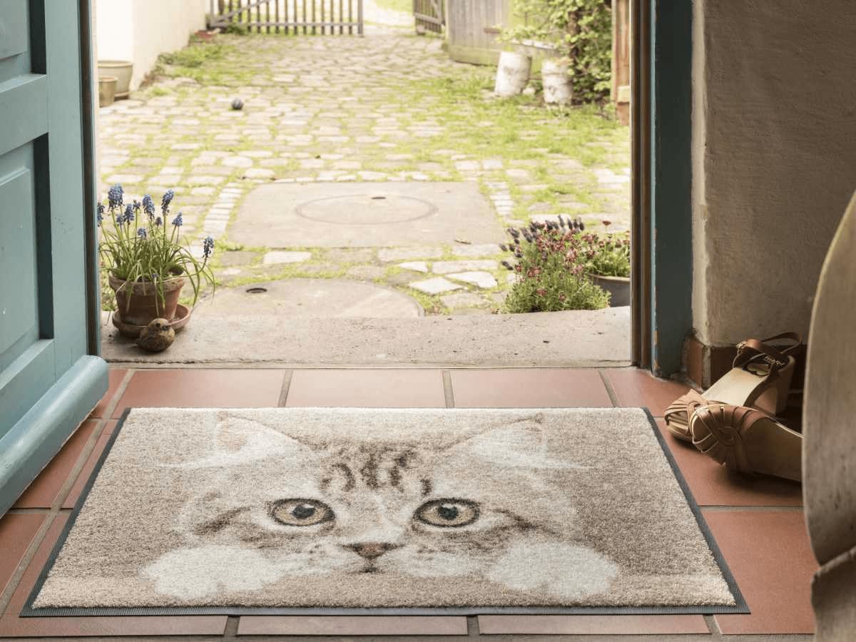 Salonloewe Fußmatte & Eingangsmatte Nosy Cat in beige & Größe 0,50 x 0,75 cm - Fußabtreter & Schmutzfangmatte mit Katzen-Design für den Eingangsbereich