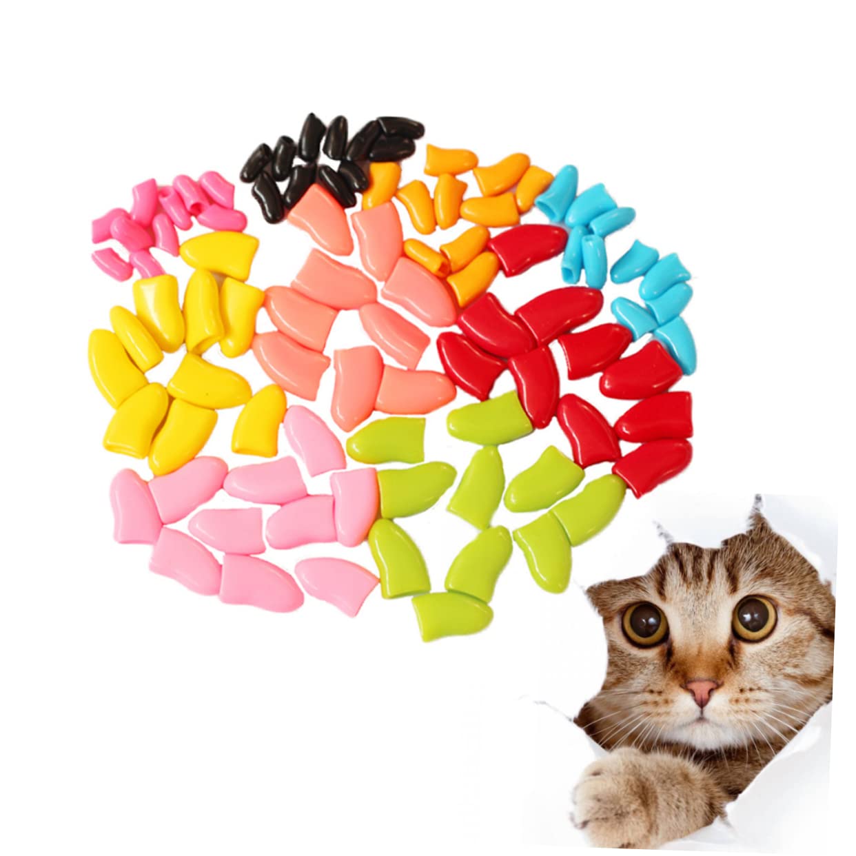 Sosoport 420stücke Katzen Krallenschutz Kappen Zufällige Farben Langlebiger Und Bequemer Pfotenschutz Für Ihre Haustiere Schützend Gegen Kratzschäden An Möbeln