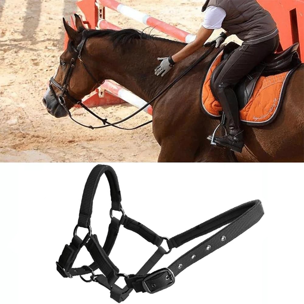 Licol avec rênes pour chevaux de loisir, accessoires