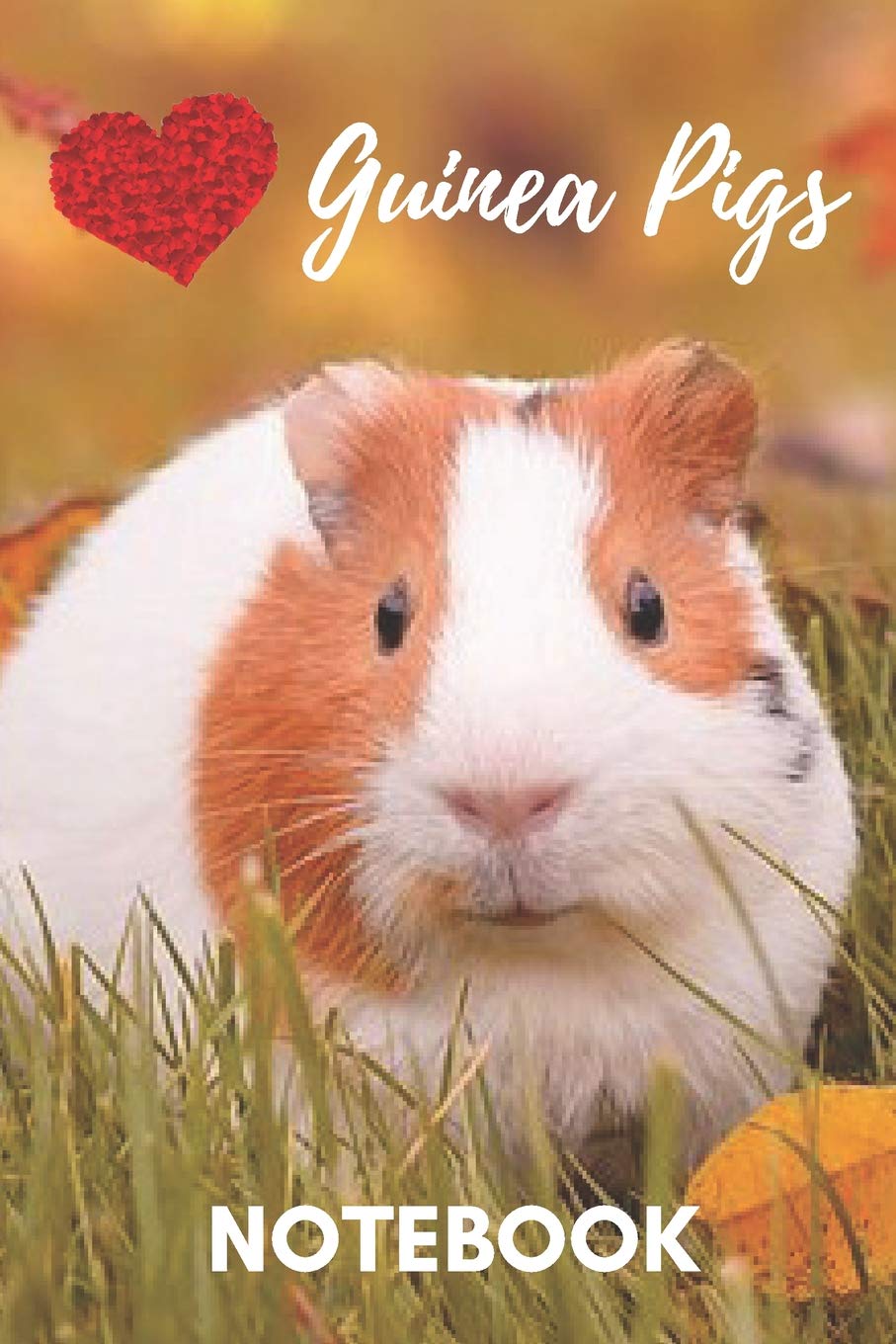 Guinea Pig Notebook: cute guinea pigs gift for children who love pets and animals (blank lined notebook) notepad for girls / best for writing notes ... / journal for journaling / guinea pig journal