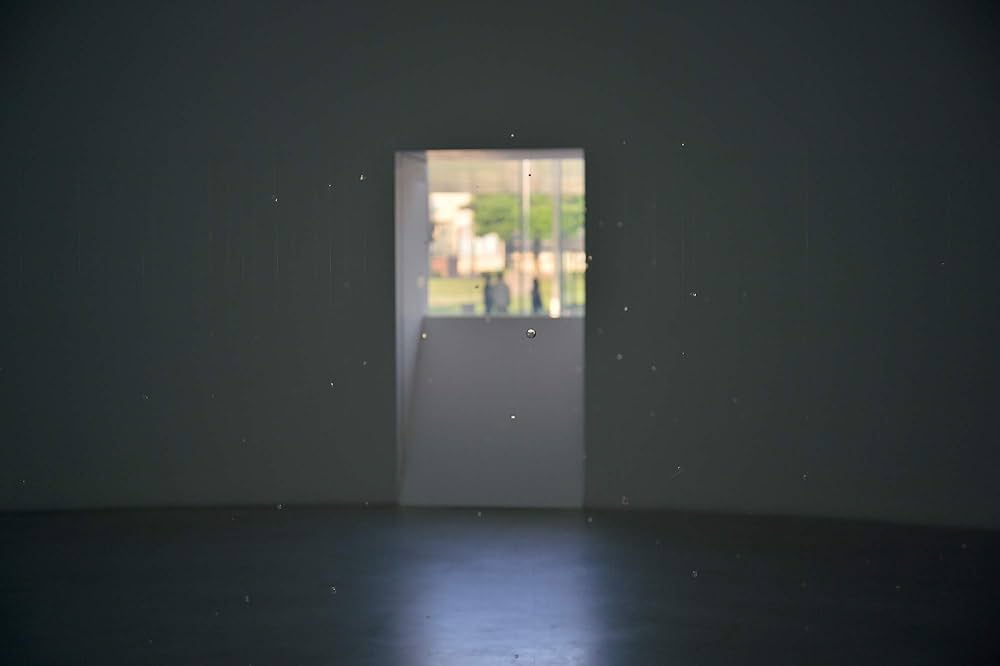 Amazon.co.jp: 内藤礼 うつしあう創造 : 内藤礼: 本