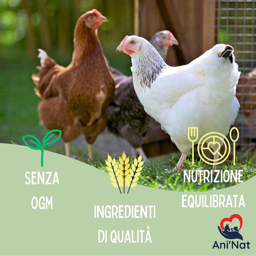 Ani'Nat Mangime per galline ovaiole senza OGM – Con oli essenziali – Miscela grossolanamente macinata – Nutrizione completa per deposizione e vitalità delle galline (5kg)