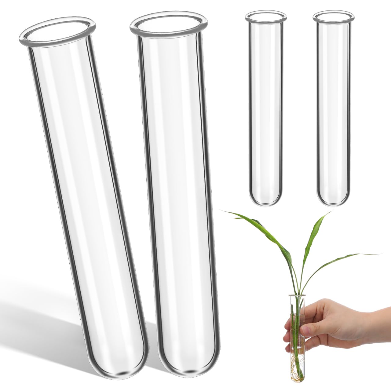 Verre hydroponique durable POPETPOP pour plantes et décoration de jardin d'hiver haut de gamme