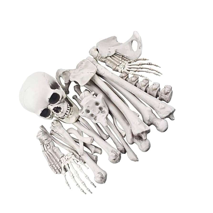 Amazon.co.jp: 1 パック スケルトン28点 骸骨の装飾 ハロウィン