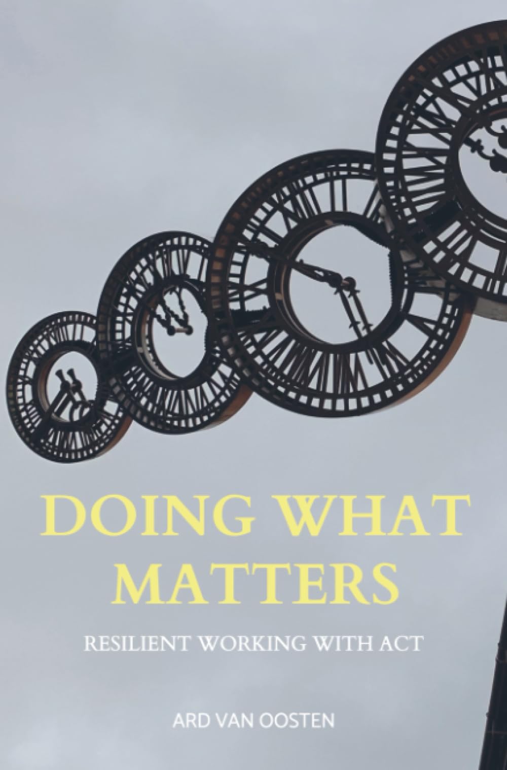 Doing What Matters: Resilient Working with ACT