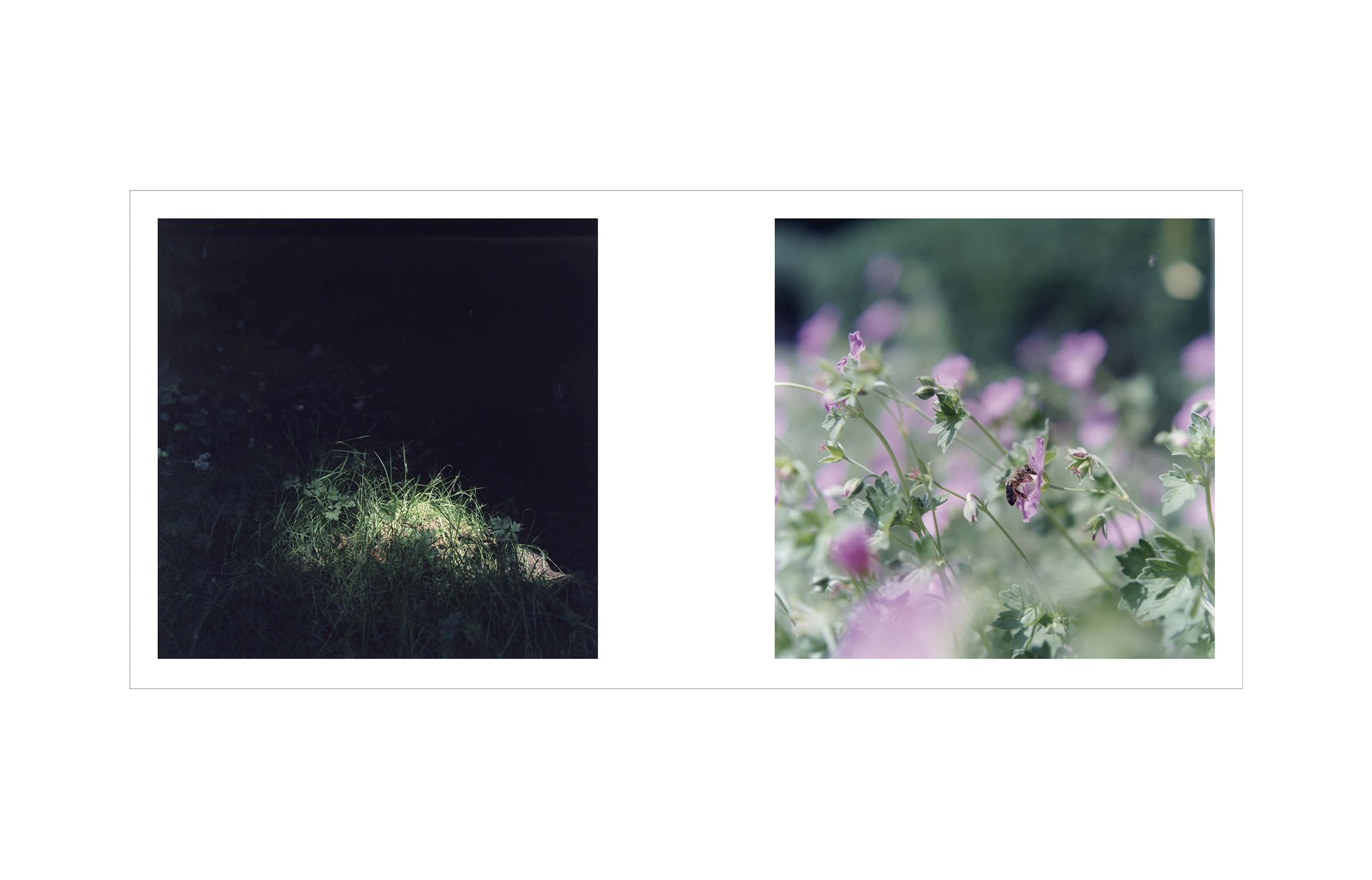 Here and Now - Rinko Kawauchi - Shuntaro Tanikawa