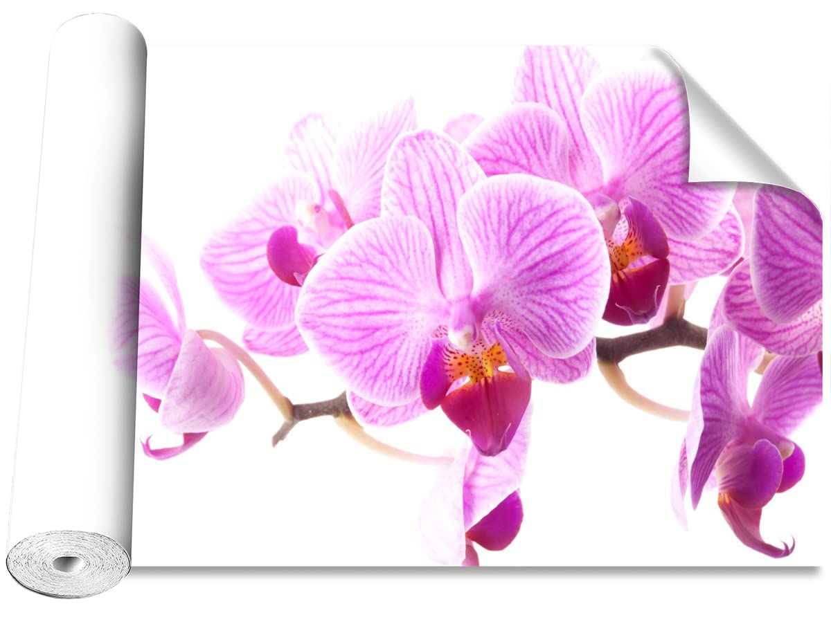 Papier Peint Orchidée Rose Tulup : Créez un Salon Moderne et Cocooning en Bricolage