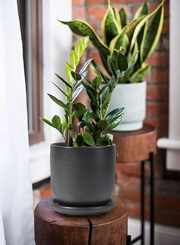 Miniatura 3 de Serene Spaces Living Maceta grande de cerámica negra mate con agujeros de drenaje y platillo para plantas y flores, macetas decorativas para