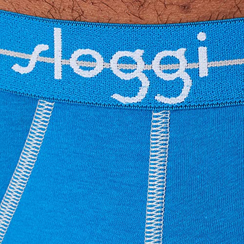 Image of Triumph Women's Cotton Briefs Regular Solid Clothing & Accessories