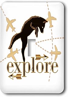 3dRose lsp_245293_1 Explore Travel Theme with Pouncing Fox and Airplanes Tan and Brown Toggle Switch, Mixed