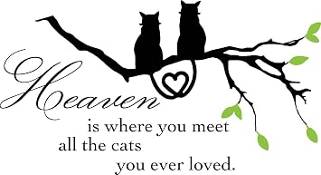 Newclew Heaven is Where You Meet All the Cats You Ever Loved. Removable Vinyl wall Art Inspirational Encouragement Poetry Quotes Saying Home Decor Decal Sticker M 22x12