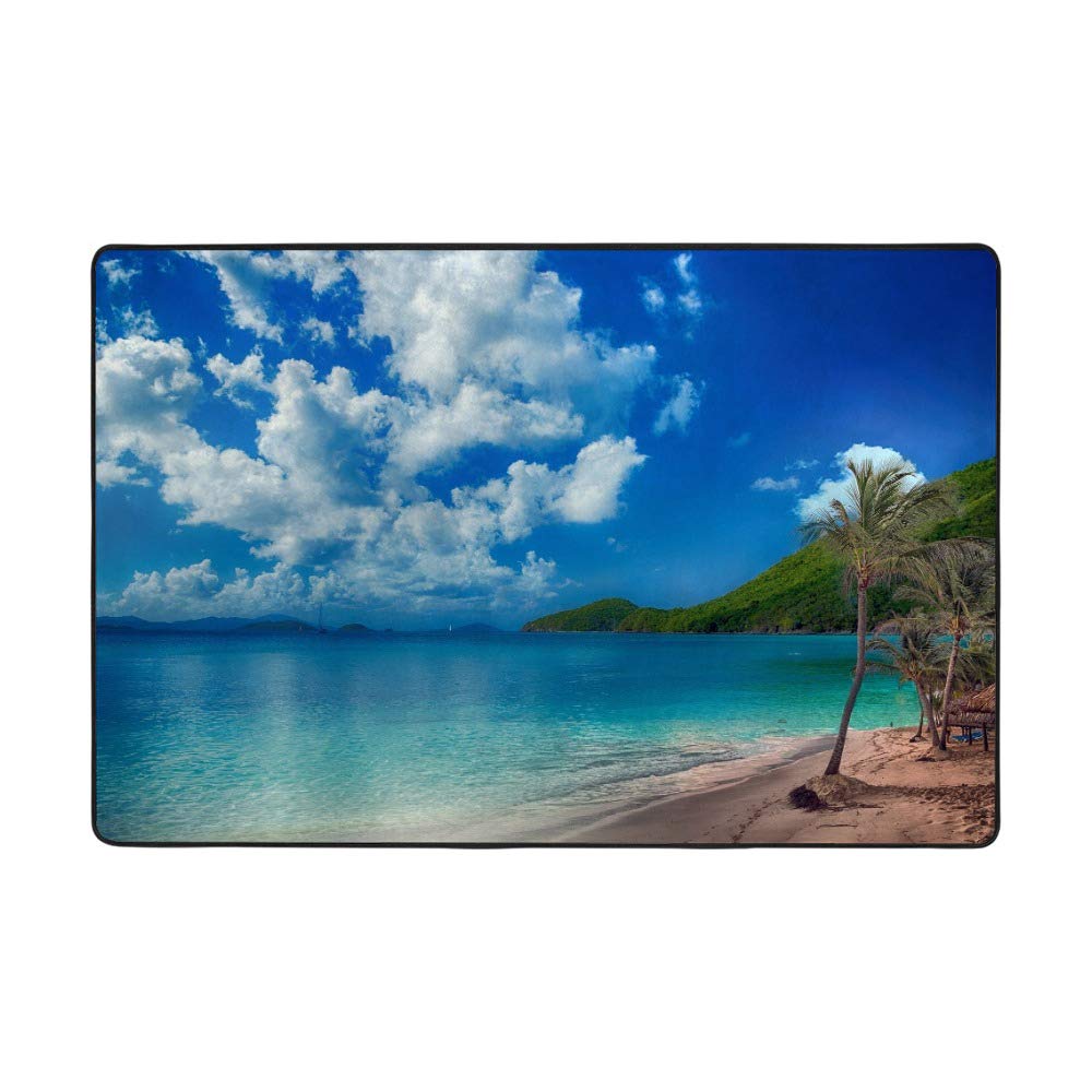 Tapis de plage tropicale bleu Ruchen en velours corail pour salon grand format 160x122 cm