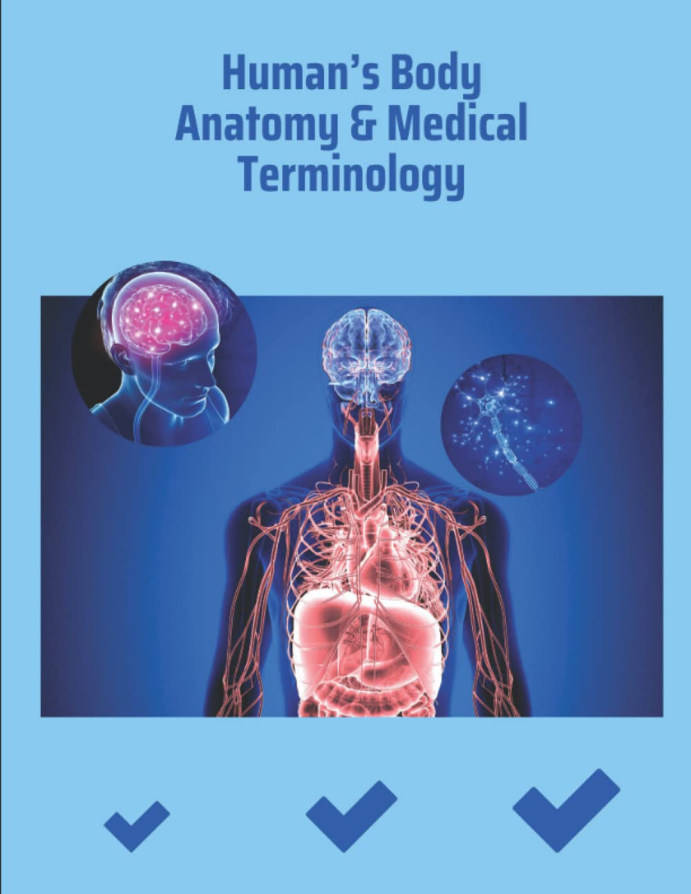 Buy Human’s Body Anatomy & Medical Terminology human anatomy 2022 20