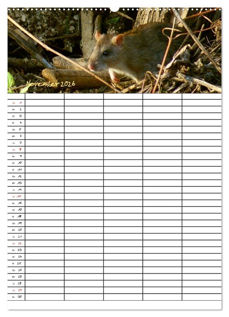 Bauernhoftiere Familienplaner (hochwertiger Premium Wandkalender 2026 DIN A2 hoch), Kunstdruck in Hochglanz: Nutz- und Haustiere (CALVENDO Tiere)