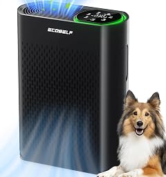 Powerful Air Purifiers for Home Large Room Up to 2400 Ft ECOSELF HEPA Air Purifier with PM 2