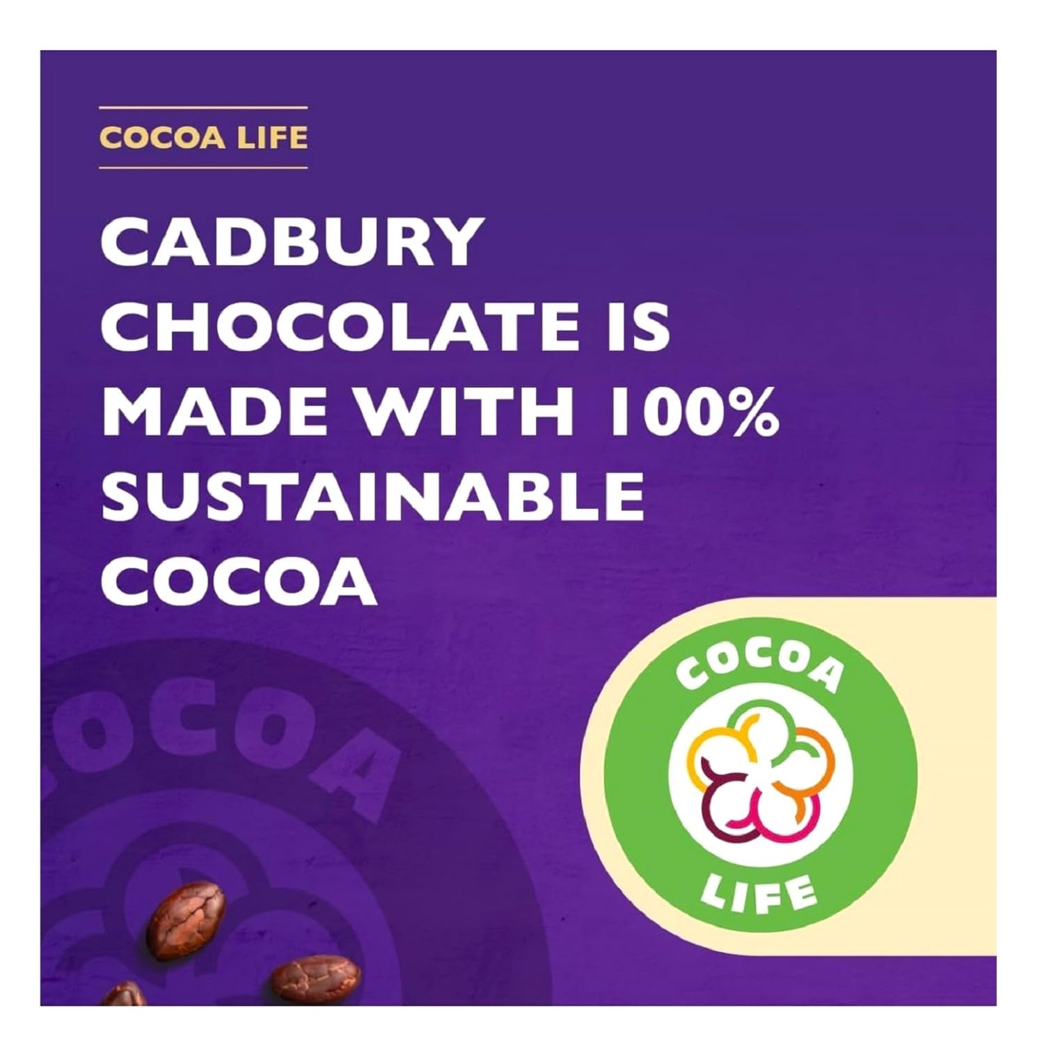 Cadbury Drinking Chocolate 500g