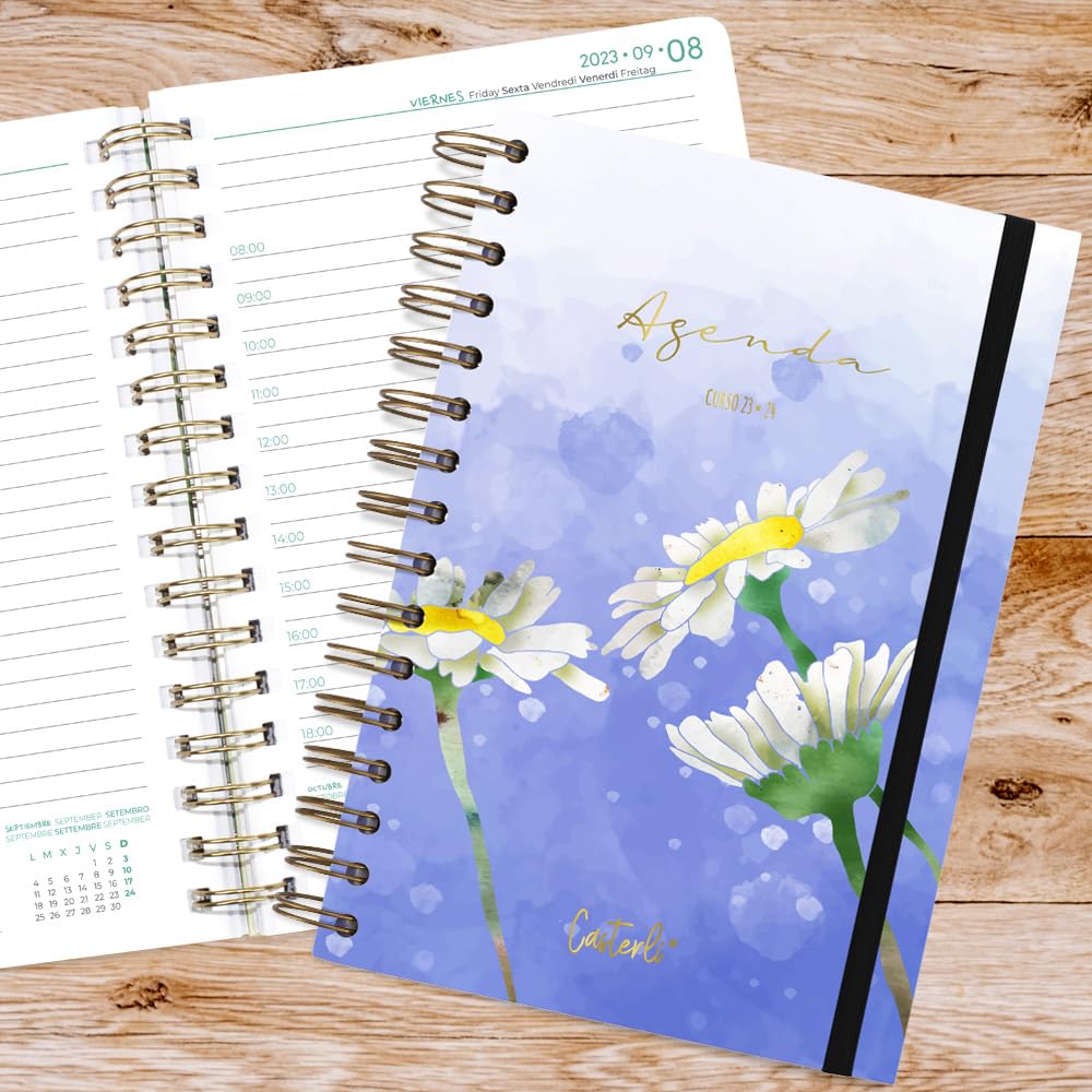 Casterli 84071, School Diary 2022-23 Dreams Collection. Day Page, Size A5 (160 x 210 x 16 mm), Different Designs