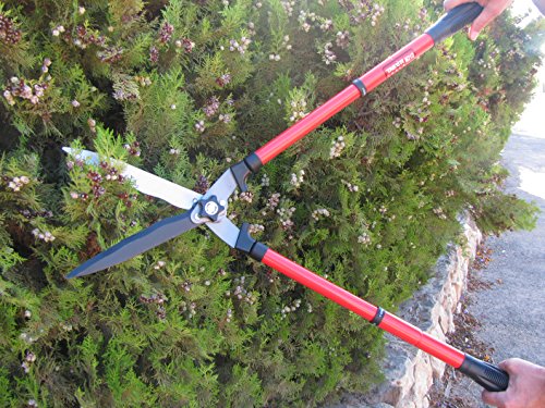 Tabor Tools B212A Telescopic Hedge Shears With Wavy Blade And Extendable Steel Handles. Extendable Manual Hedge Clippers For Trimming Borders, Boxwood, And Tall Bushes. #TOP4