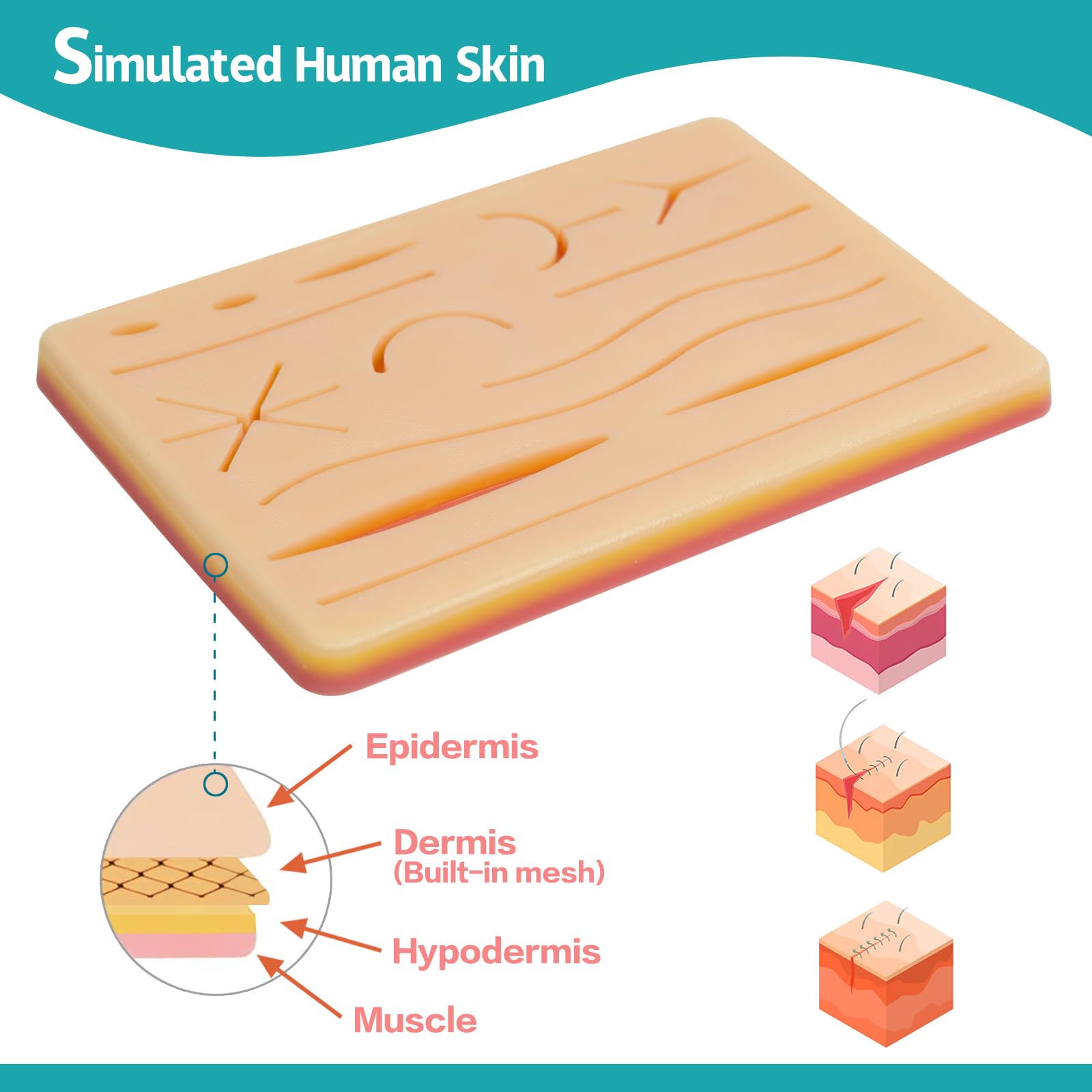3-Piece Suture Pad, Suture Practice Pad with Various Wound Shapes, Suture Practice Kit, Suitable for Medical, Veterinary Medical Staff Training and Practice (Combination Three) — Amazon image 3