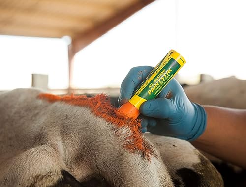 Miniatura 2 de All-Weather Paintstik 61022 - Marcador de ganado, altamente visible, pintura no tóxica para marcar piel de animales, ocultar, piel, húmeda y seca,