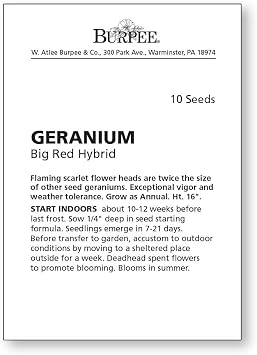 Burpee Big Red Geranium Seeds 10 seeds