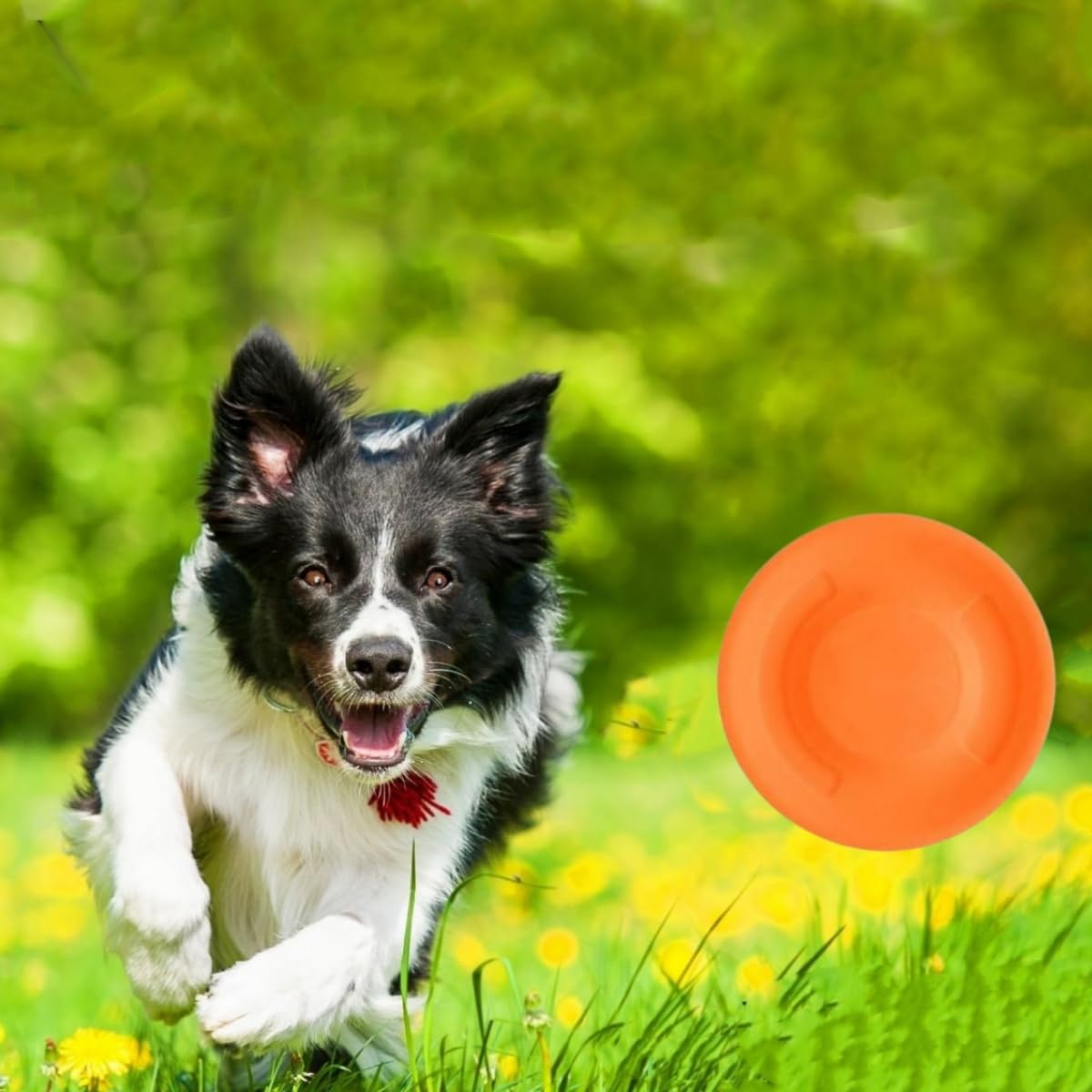 Frisbee de Poche,8 pièces Mini Frisbee en Silicone,Sport Tendance,Fun Sports Mini Disque Volant,Disque Volant Sports
