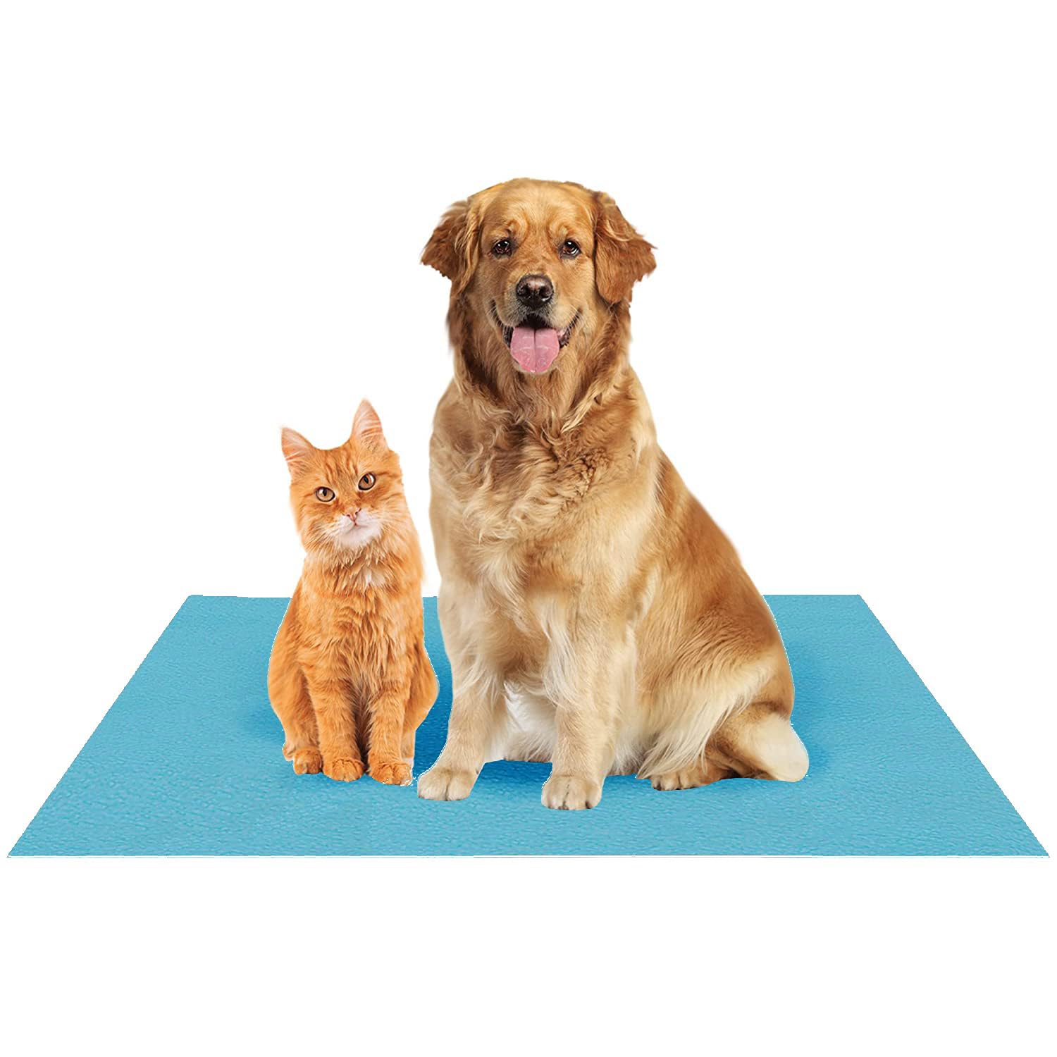 See full amazon price history chart for Fancy Dress Factory Waterproof Reusable Washable Pee Pads for Dogs | High Absorption Puppy Training Pads(100cm X 140cm) Violet Fancy Dress Factory Waterproof Reusable Washable Pee Pads for Dogs | High Absorption Puppy Training Pads(100cm X 140cm) Violet (B0CCRFKD57) Amazon Price History, Amazon Price Tracker