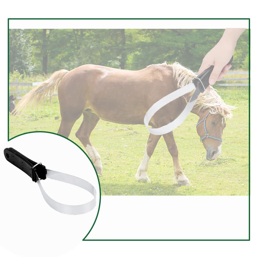 Raschietto per cavallo a doppia faccia 29,5 cm in crine di capelli