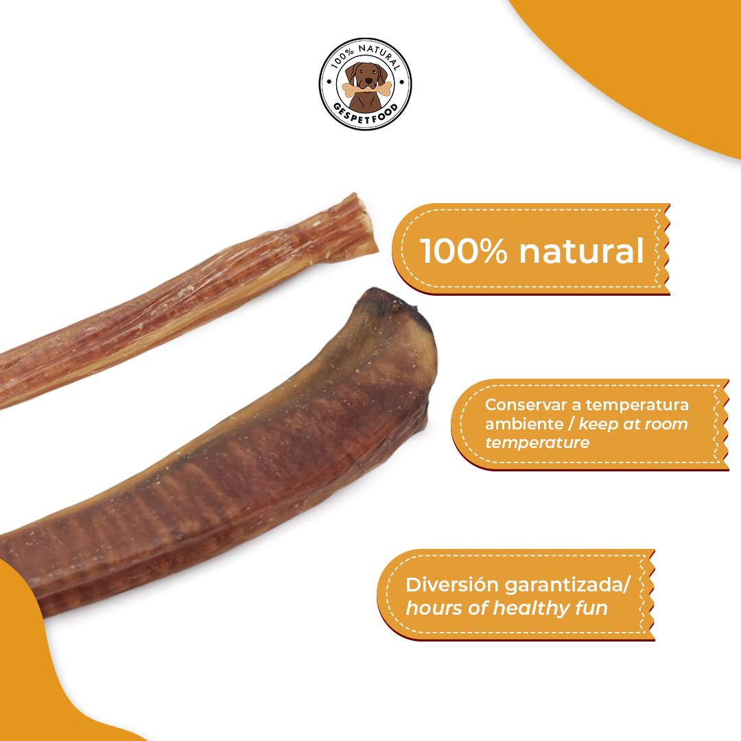 Gespetfood - Nervio de Toro 15" para Perros - Snack Deshidratado para Perros - 11 Unidades - Encías Saludables - 500gr