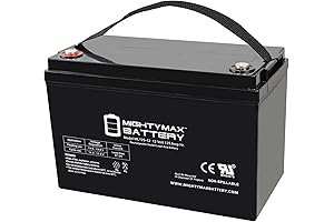 12V 125AH SLA Replacement Battery Built for the Watchdog