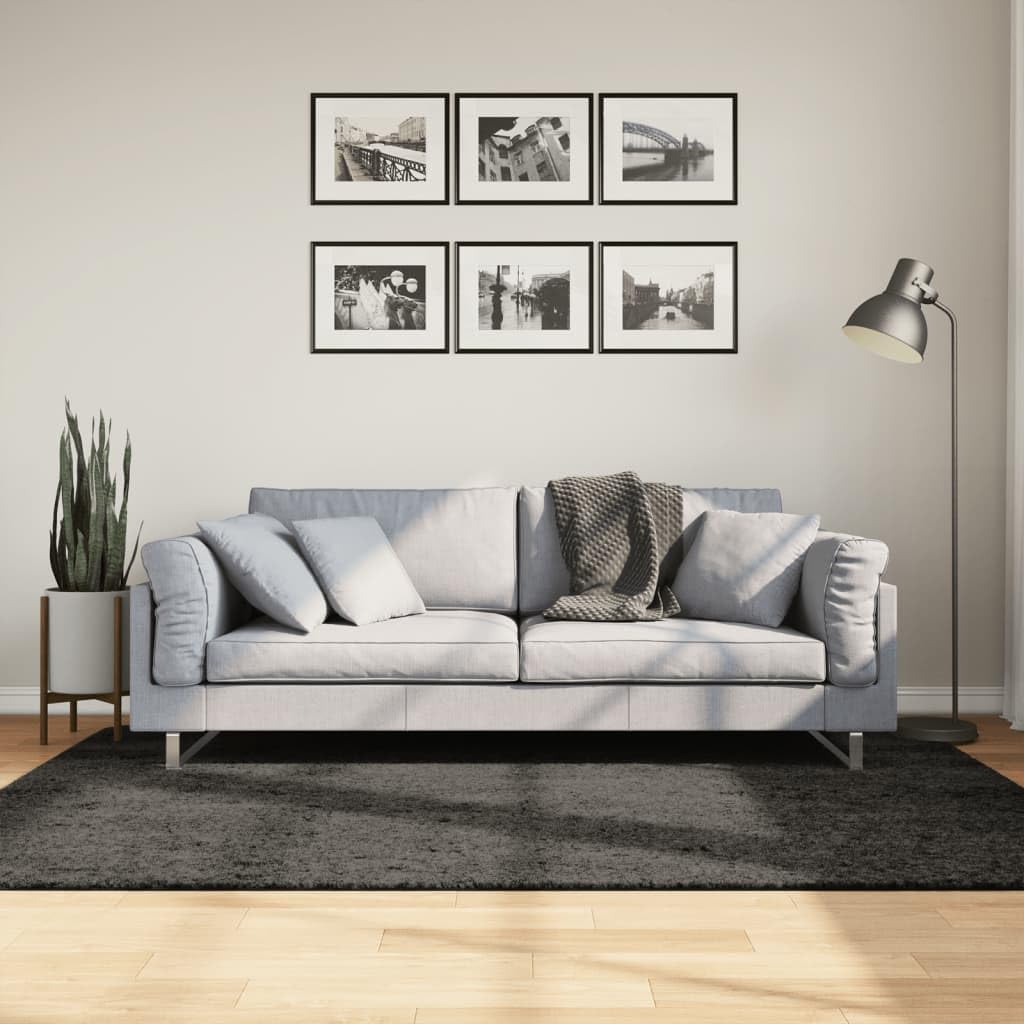 Tapis poils longs anthracite 140x200 cm lavable pour salon et chambre