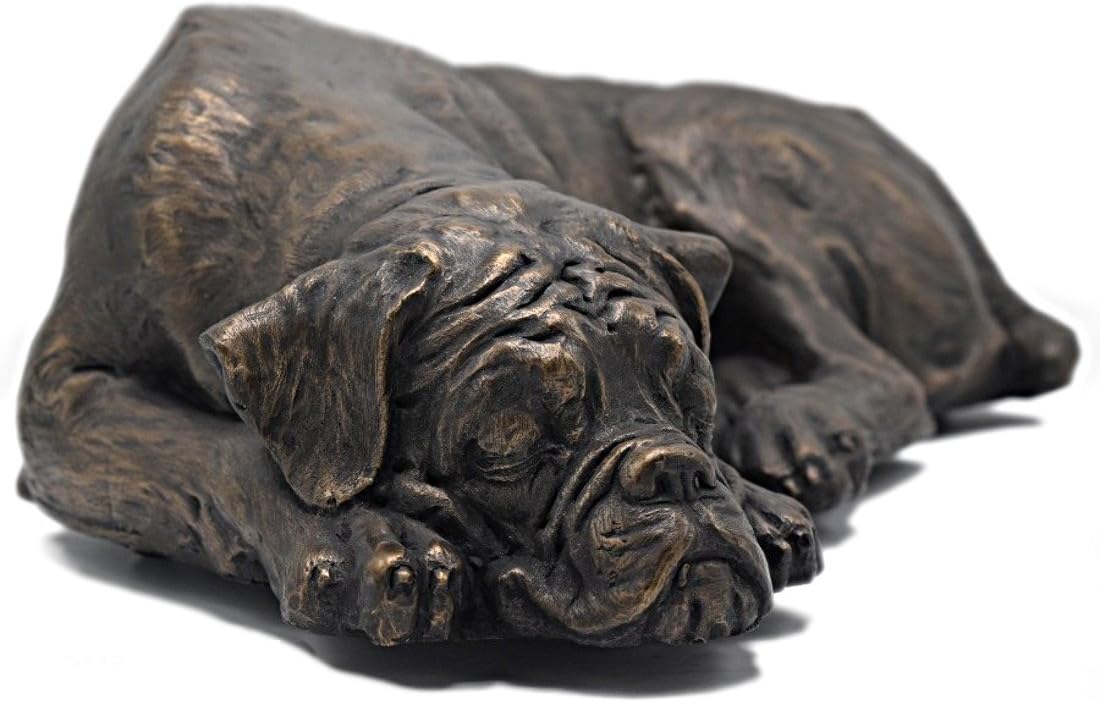 Rainbowbridge Boxer Dog Ashes Box - Dog Memorials Gifts - Ashes Urn for Dogs…