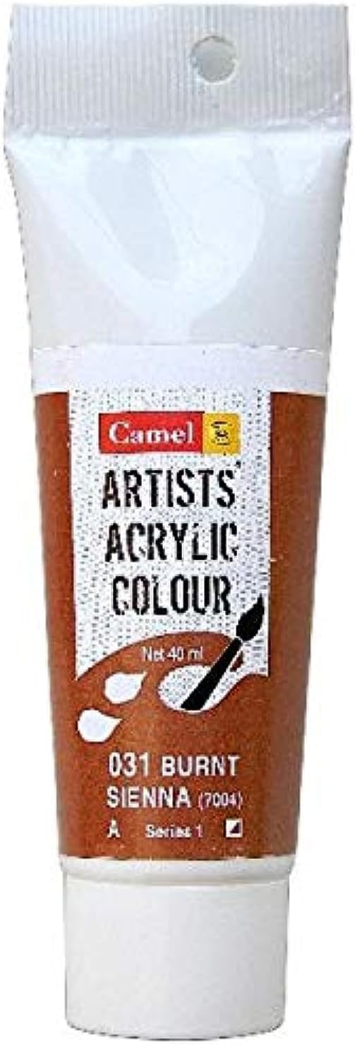 Camlin Kokuyo Artist Acrylic Colour Tubes 120ml Burnt Sienna 031