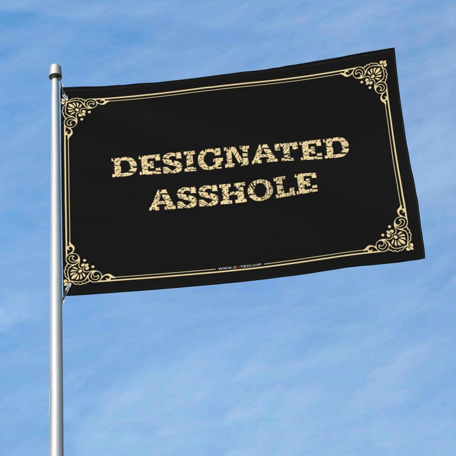 Funny Wall Flags Designated Asshole Flag Fun Stuff Boys Bedroom Decorations (Color : Colour, Size : 152X244CM)