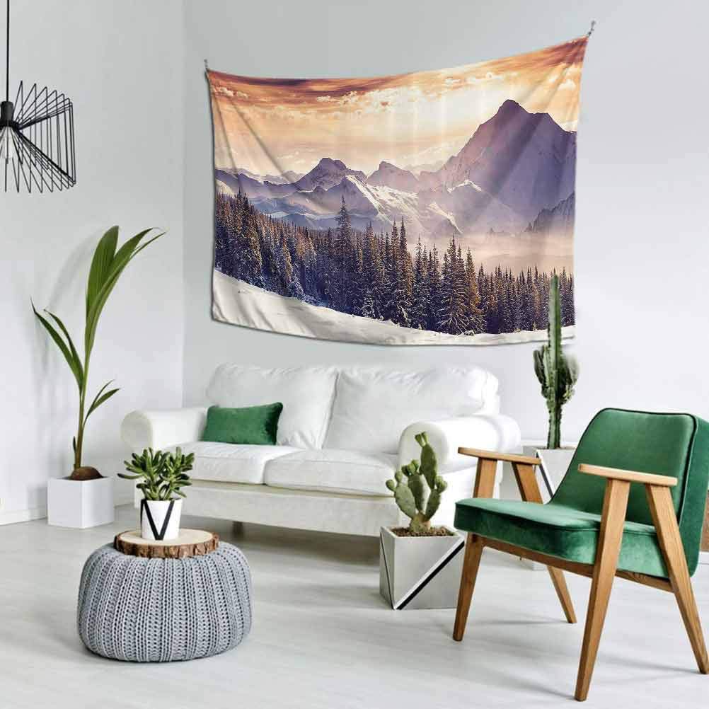 Nature Landscape Decor Warm Tapestry Large （80x60 Inch） Evening Winter Landscape with Dramatic Surreal Overcast Sky and Majestic Mountains Decorative Bedroom Multi