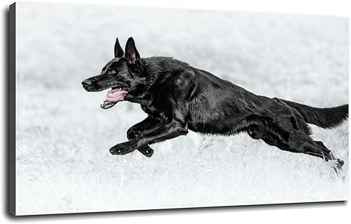 Póster de lienzo con diseño de pastor alemán para correr, arte de pared para decoración de oficina en casa con marco de 42 x 24 pulgadas