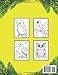 Birds of Brazil: Coloring book for children about the Birds of Brazil