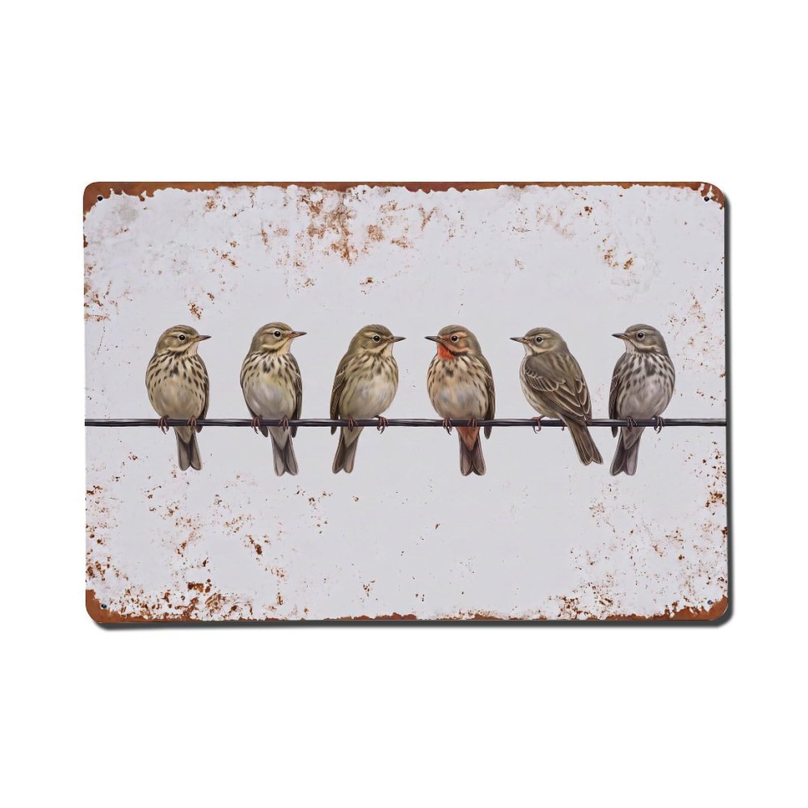 Vintage Retro Birds Pipit Metal Tin Sign