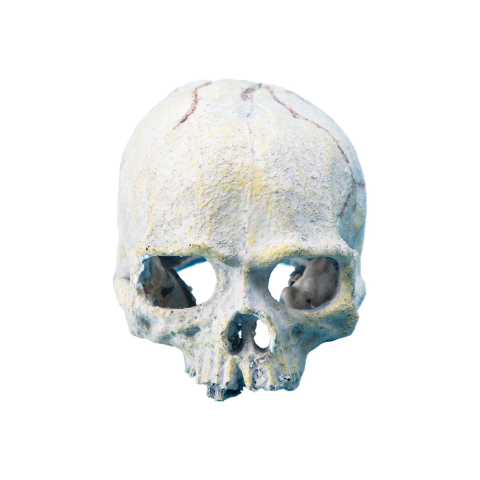 Ljmyy Snake Hideouts Reptiles Aquarium Skull Decors Resin Skull Head Terrariums Accessories for Bearded Dragon and Snake