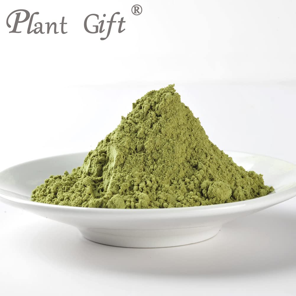 Plant Gift 100% Pur Poudre de Feuilles de Mûrier 桑叶粉, Pour Boissons 100g/3.25oz