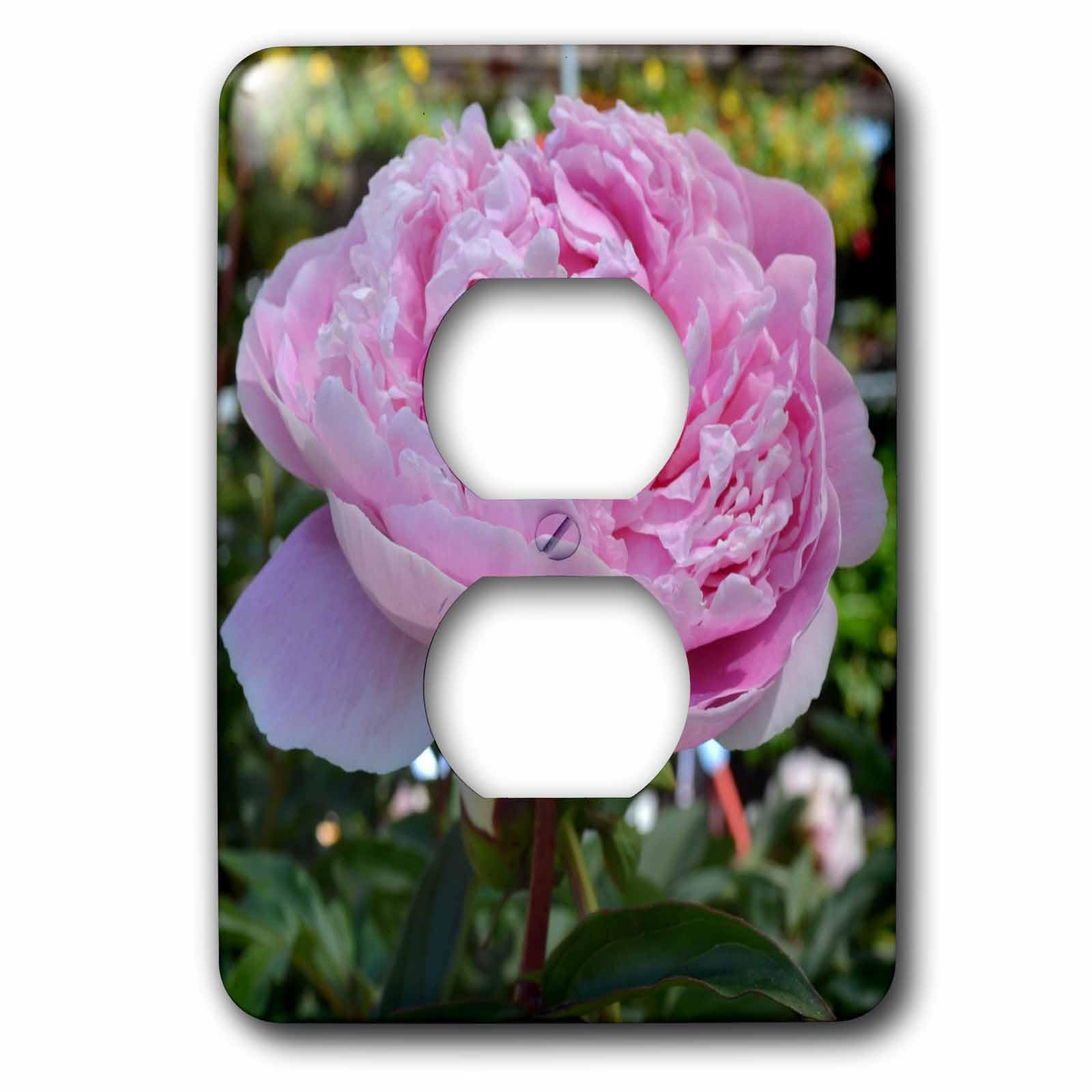 Housse de prise Rose Pivoine pour cacher les prises blanches murales avec élégance