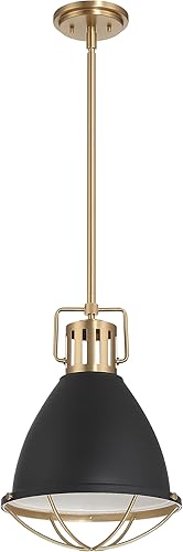 Robert Stevenson Lighting Kent - Lámpara de techo industrial de metal enjaulado de gran tamaño, color negro y dorado