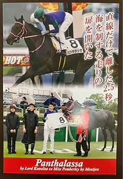 ポストカード　競馬 61werRTb9bL._UF350,350_QL50_.jpg