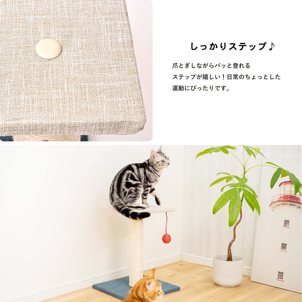 Amazon | コーナンオリジナル LIFELEX インテリアキャットツリー 2段