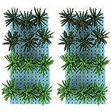 Dekorative kiefer miniatur palme