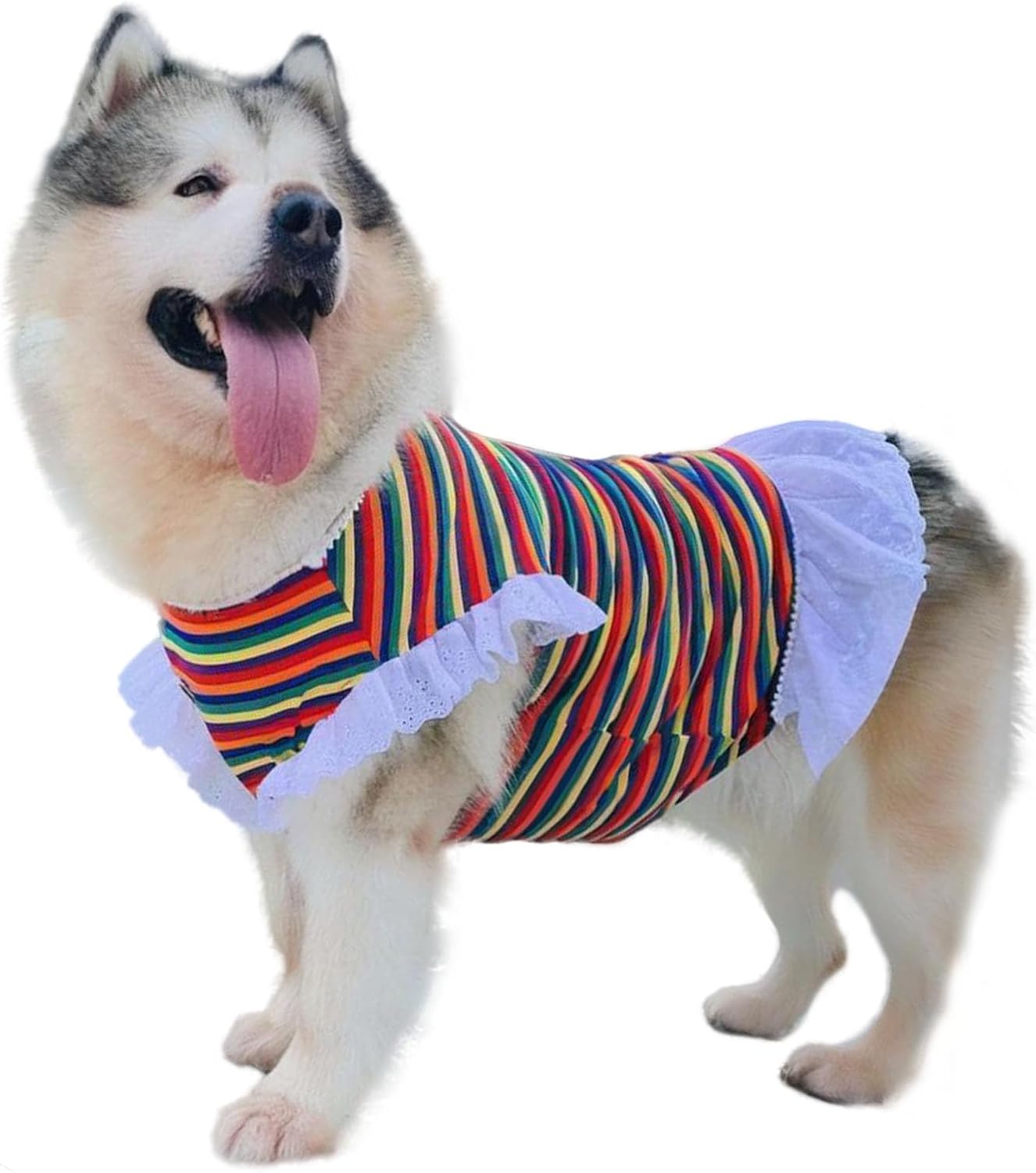 Rainbow Colorful Striped Large Dog Dress Stretchy Pullover Breathable Dog Shirt Lace Pet Sleeveless Tutu Vest T-Shirt Skirt,XL