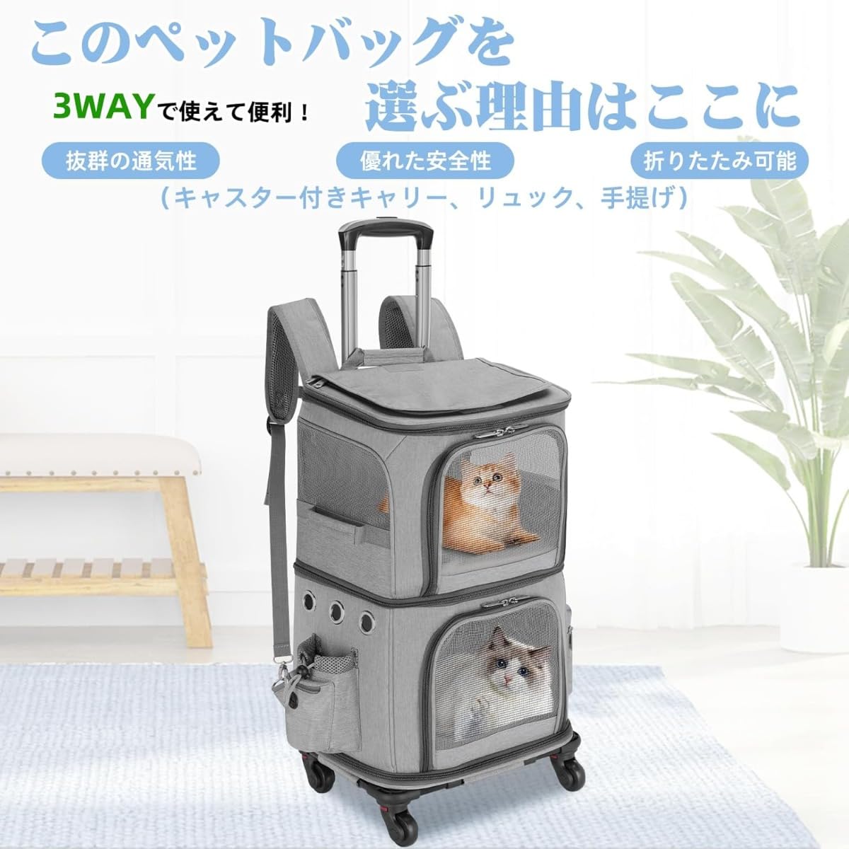 Amazon.co.jp: 猫 2 匹 キャリー リュック キャスター付き 小型 犬