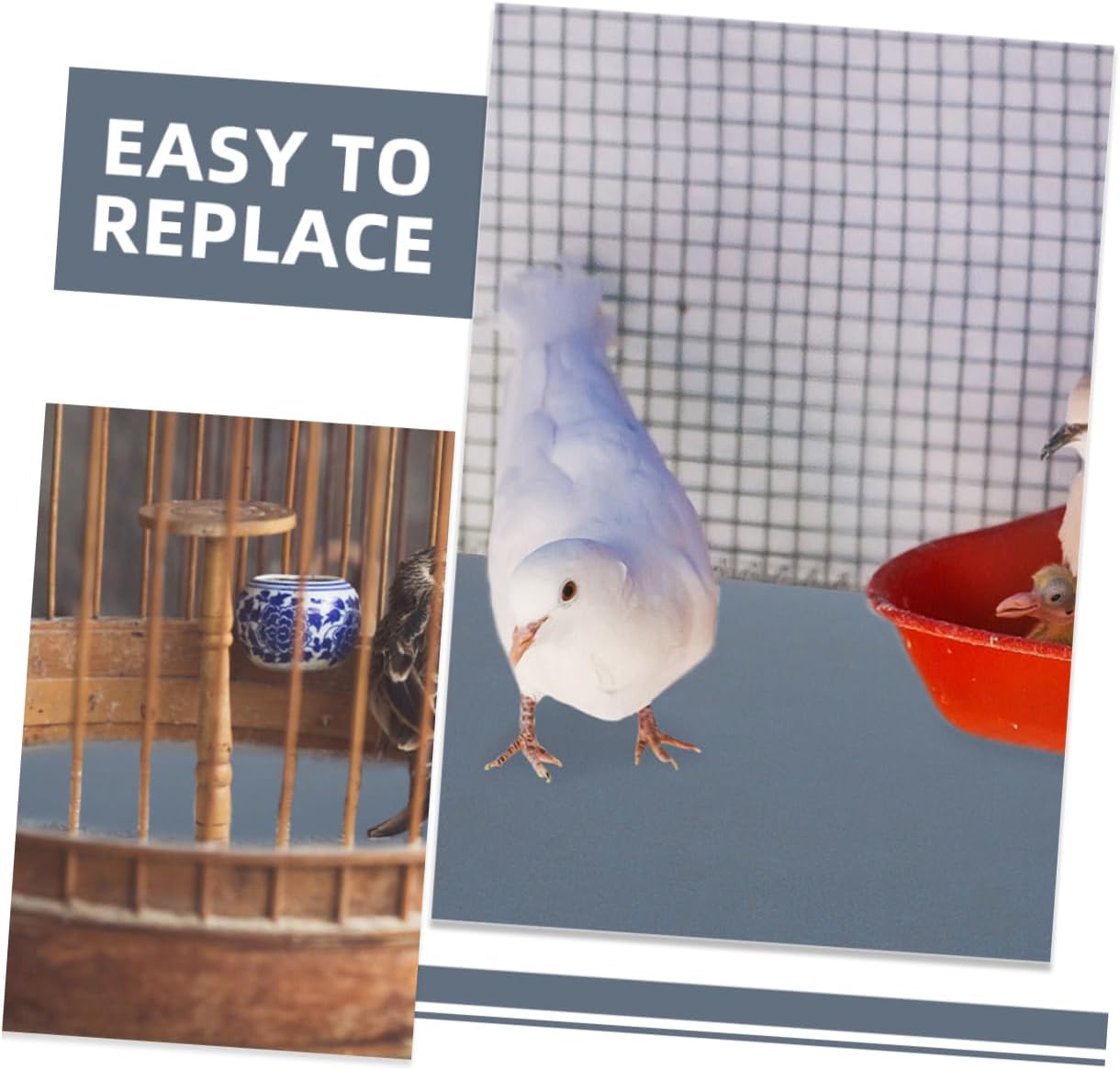 VICASKY 5pcs Bird Cage Sandpaper Aviary Birdcage Accessories Birdcage Liners Parakeets Bird Cage Mat Polish Covers Gravel Outdoor Bird Cage Replacement Indoor Grit for Silicon Carbide