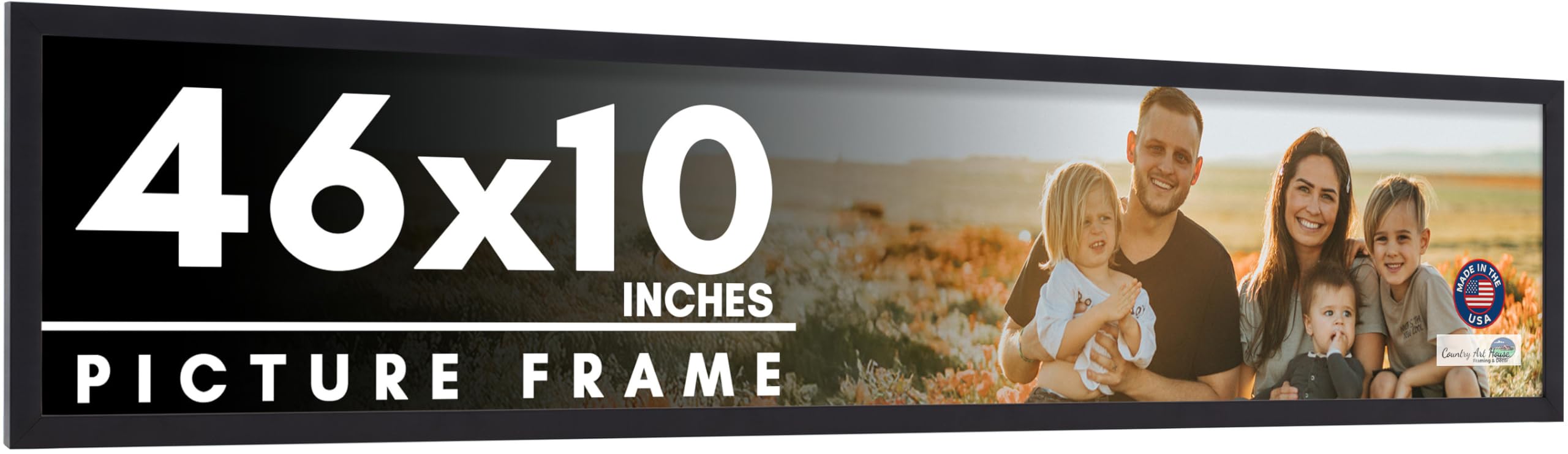 Amazon.com - 46x10 Frame Black Picture Frame - Complete Modern