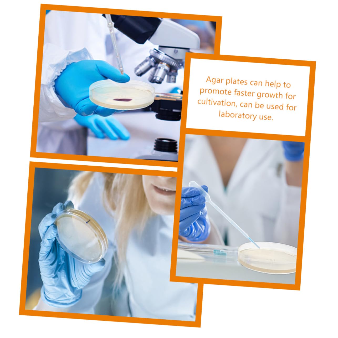 PartyKindom Piastre con Agar Nutriente Preversate 7cm 20 Pezzi per Esperimenti Scientifici e Uso in Laboratorio, Materiale Agar per Crescita Batterica Rapida